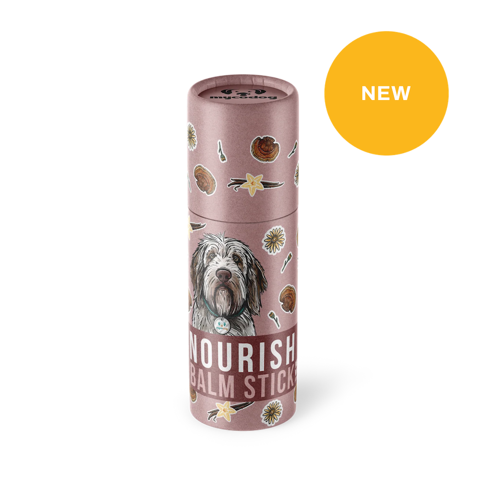 Nourish Hemp Reishi Balm stick for dogs paws skin