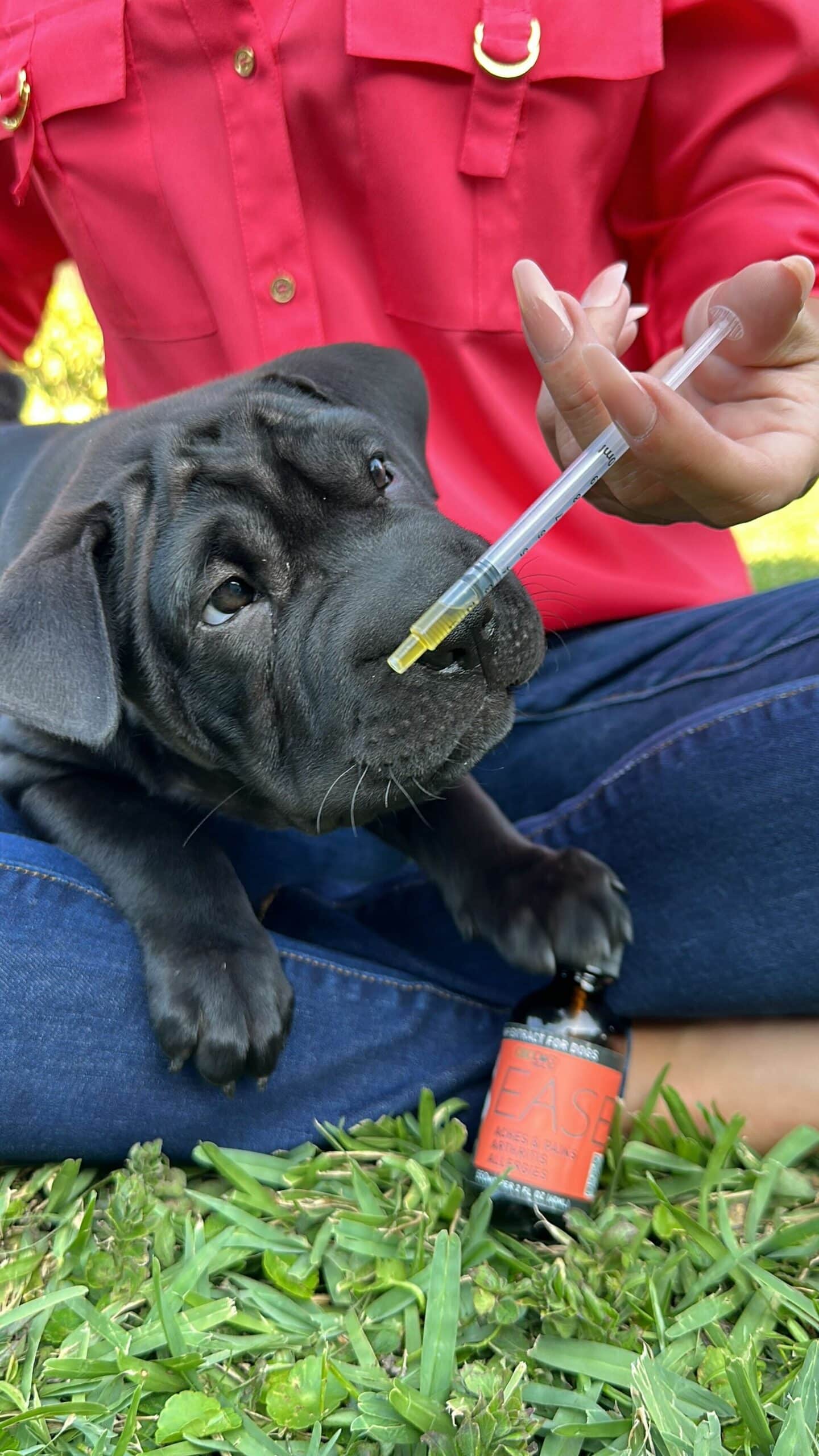 Bottle Dosing Adapter Kit