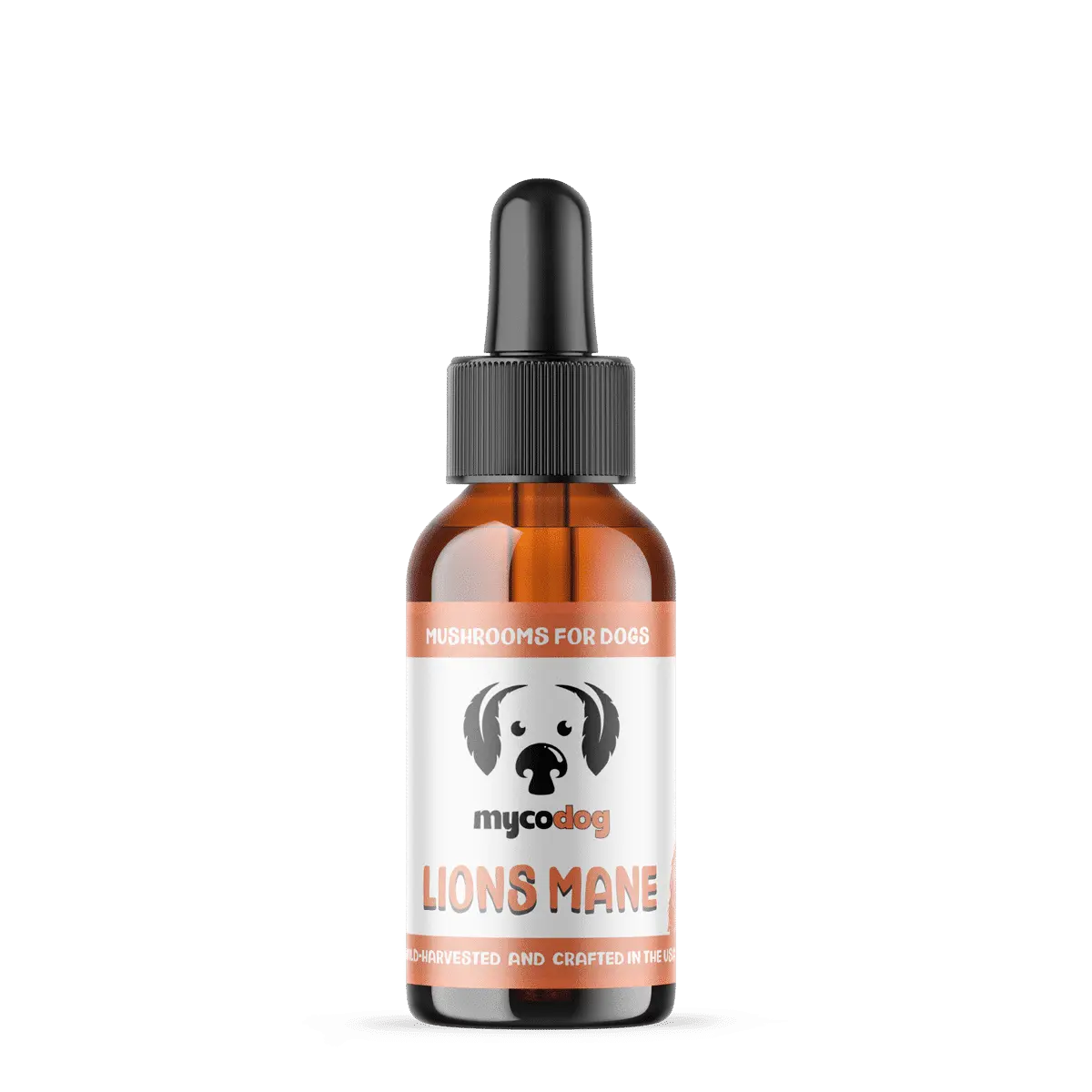 lions mane mushrooms for dogs tincture