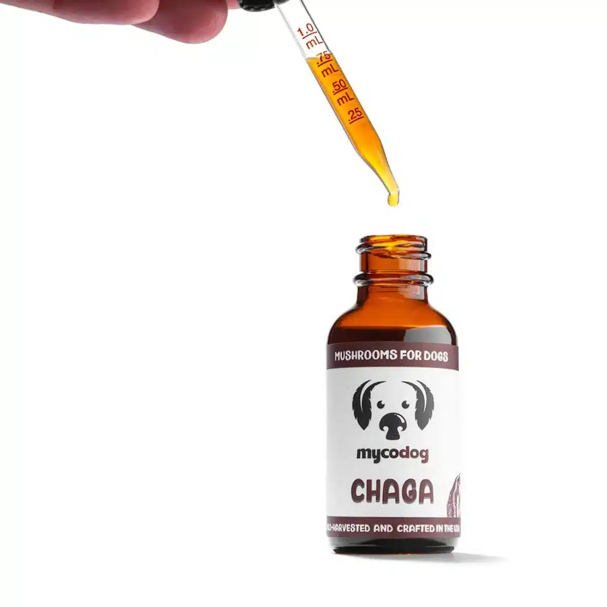 chaga mycodog single mushroom tincture for dogs