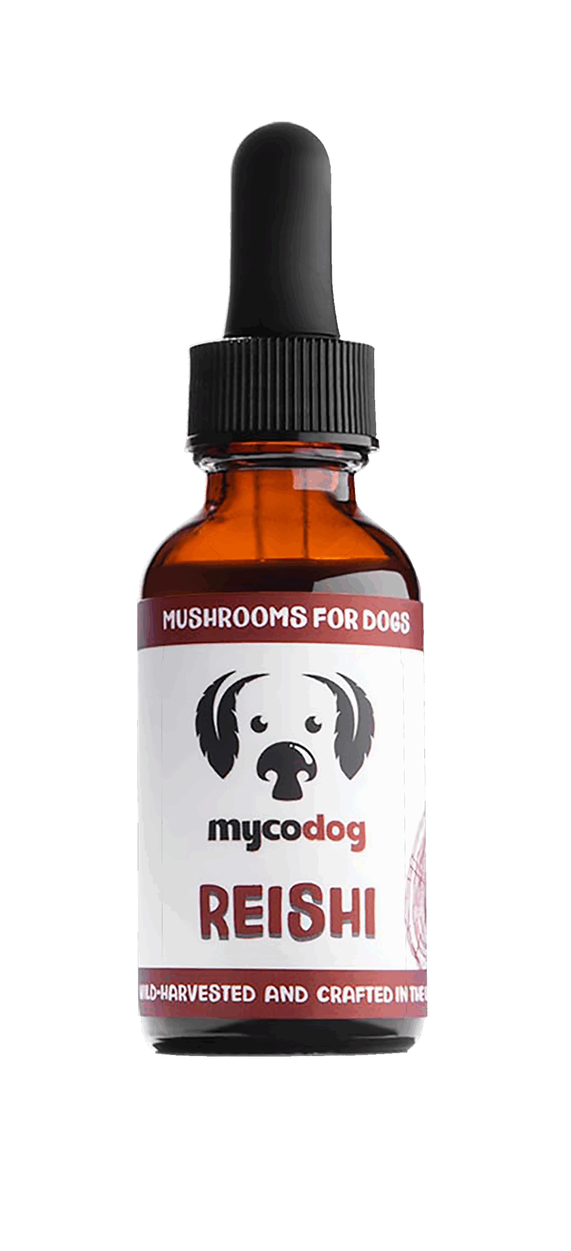 Bottle of Reishi Single Mushroom Tincture for dog